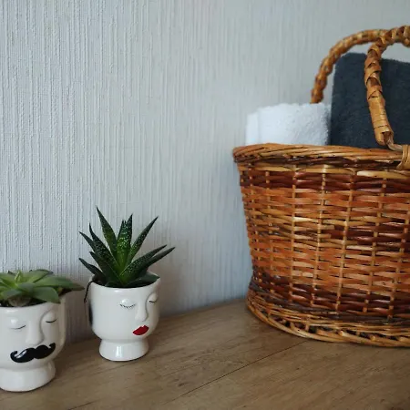 Ltt - Near Airport, Spacious, Sunny